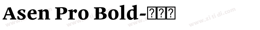 Asen Pro Bold字体转换